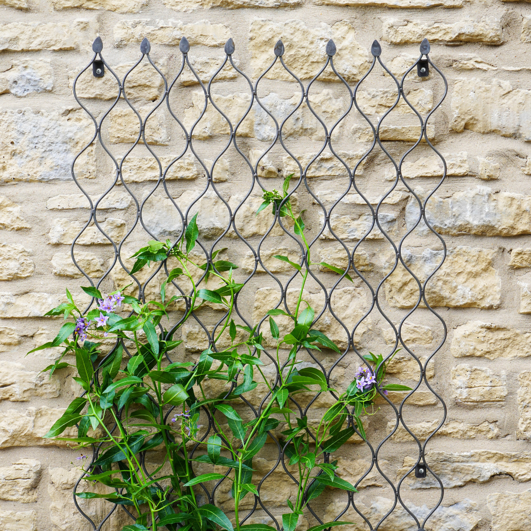 Outdoor Honeycomb Trellis Zinc Large
