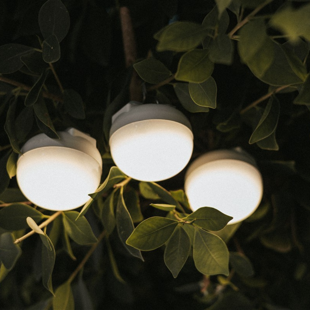 CHERRY MINI Rechargeable Portable Light Bulb (Pack of 3 bulbs)