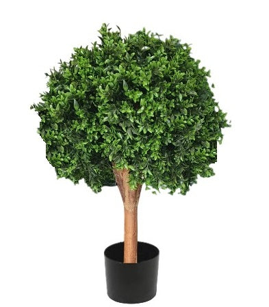 Deluxe Buxus Ball Topiary Tree, 65cm
