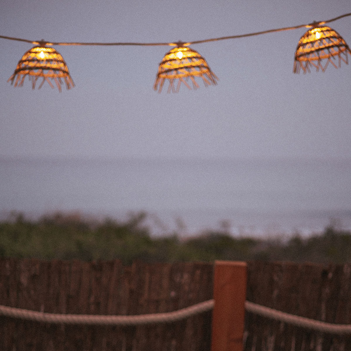 ALMA Decorative Garland Lights