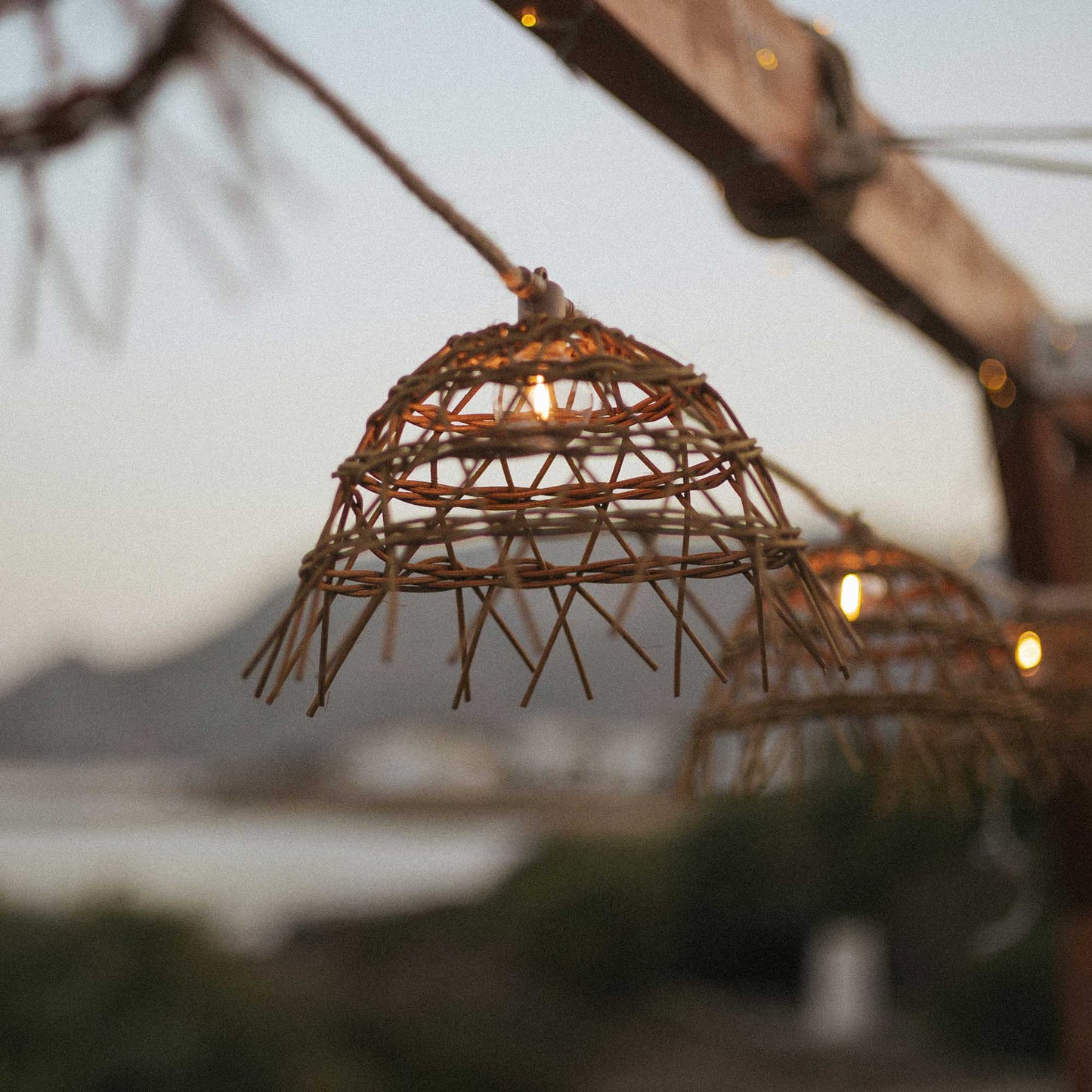ALMA Decorative Garland Lights