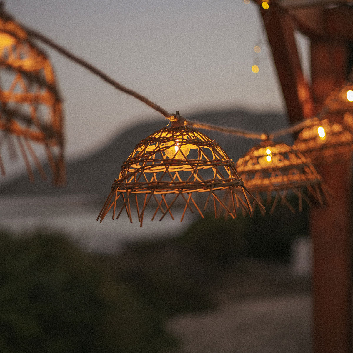ALMA Decorative Garland Lights