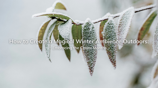 How to Create a Magical Winter Ambience Outdoors: Embracing the Cooler Months