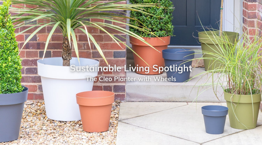 Sustainable Living Spotlight: The Cleo Planter with Wheels