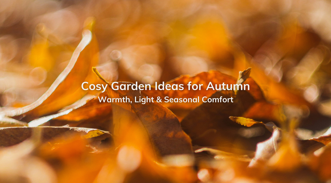 Cosy Garden Ideas for Autumn: Warmth, Light & Seasonal Comfort