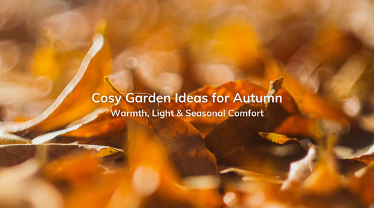 Cosy Garden Ideas for Autumn: Warmth, Light & Seasonal Comfort