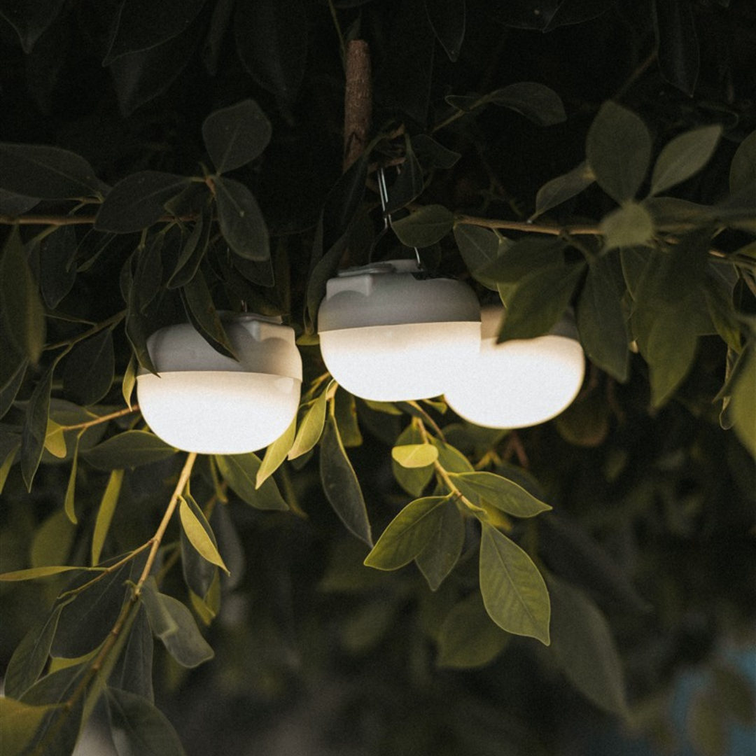 CHERRY MINI Rechargeable Portable Light Bulb (Pack of 3 bulbs)