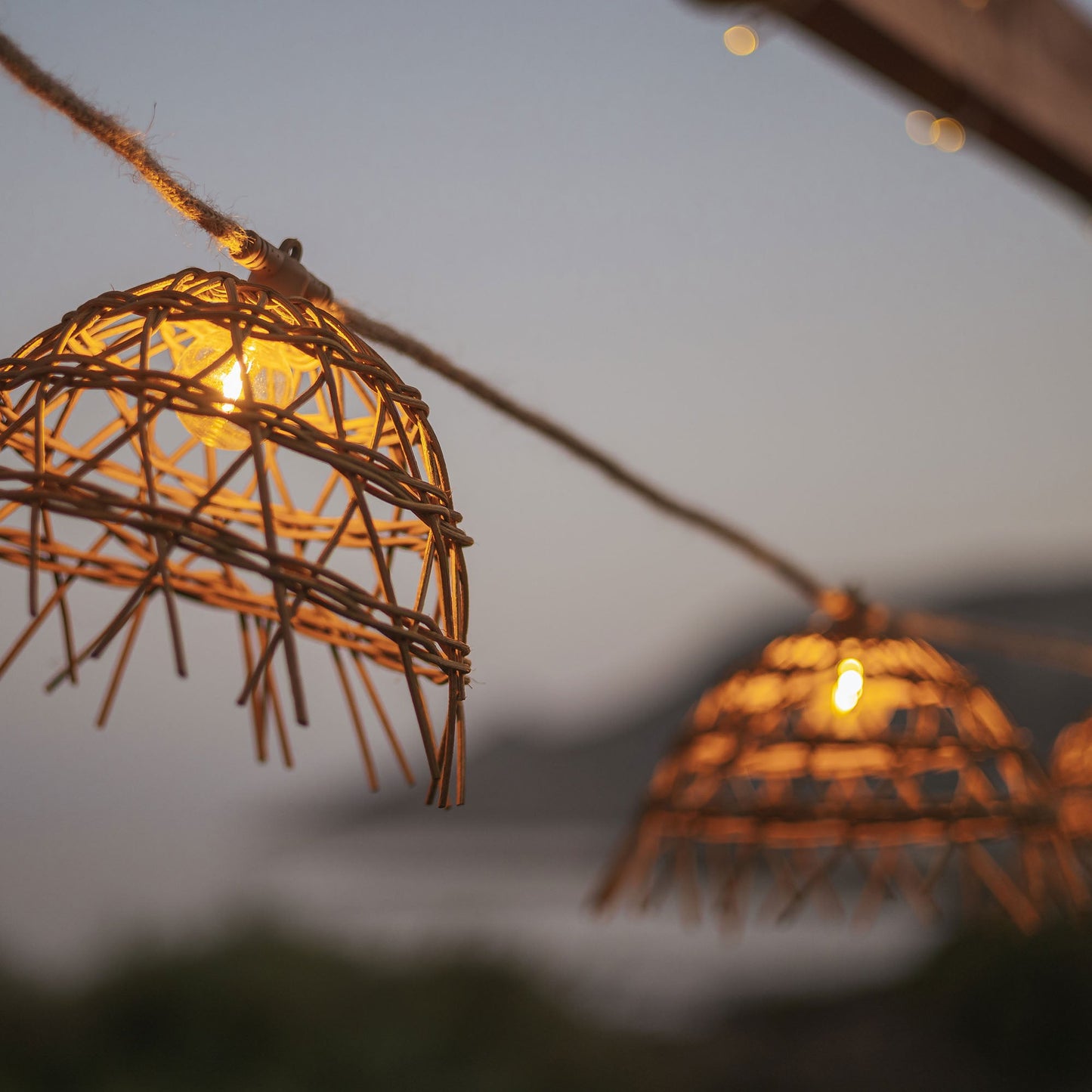 ALMA Decorative Garland Lights