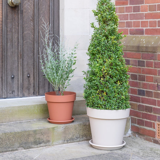 Cleo Planter With Wheels D40cm, Terracotta